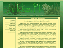 Tablet Screenshot of jukka.pl